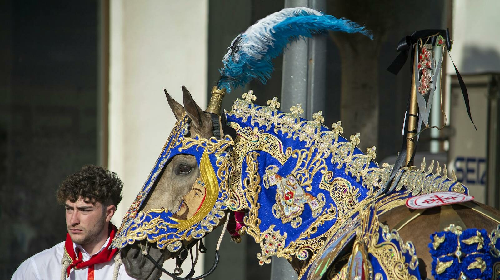 A beautifully adorned horse with intricate decorations in Caravaca de la Cruz festival.